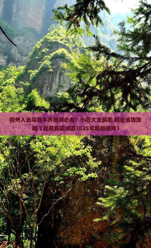 宿州去新疆乌鲁木齐旅游小吃
