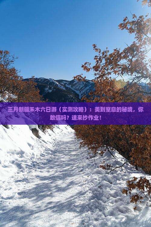 三月去新疆禾木六日游
