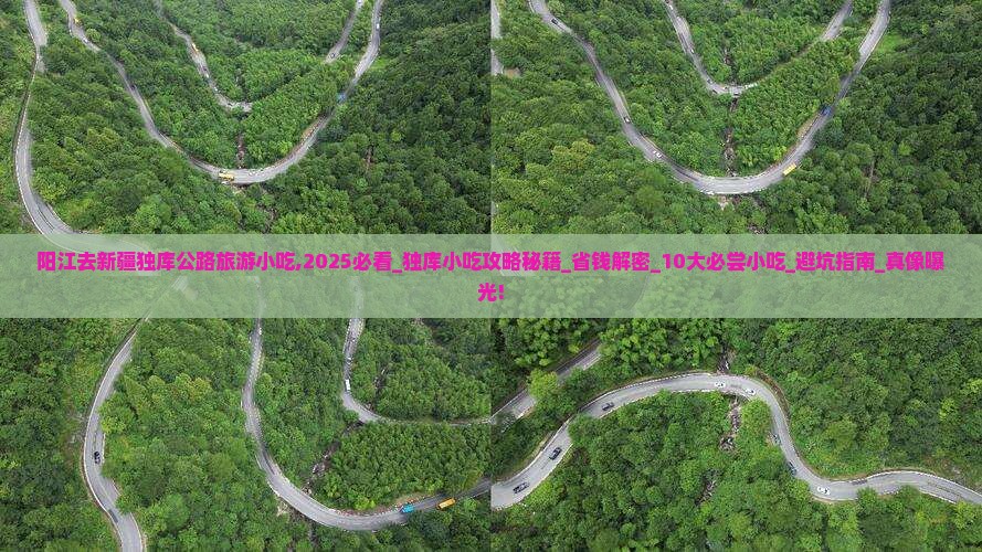 阳江去新疆独库公路旅游小吃