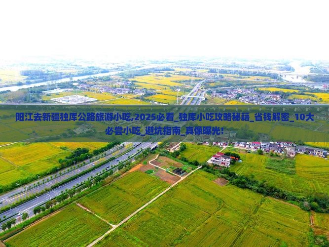 阳江去新疆独库公路旅游小吃