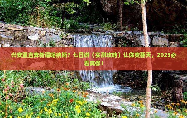 兴安盟去新疆喀纳斯七日游