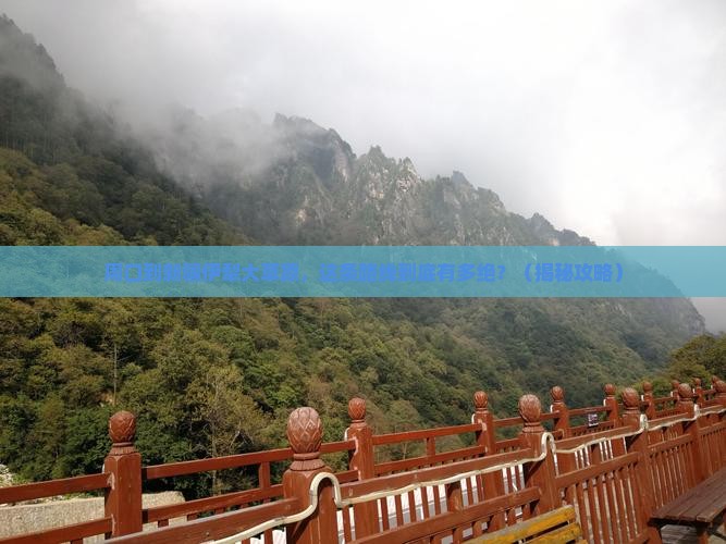 周口到新疆伊犁大草原必去地