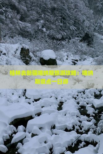 桂林去新疆喀纳斯一日