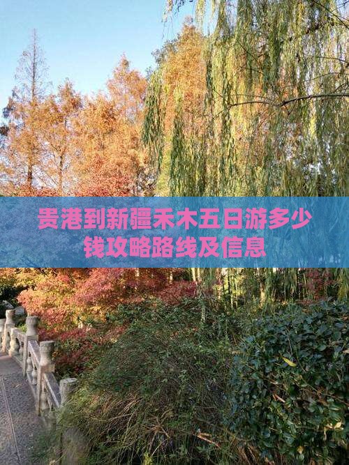 贵港到新疆禾木五日游