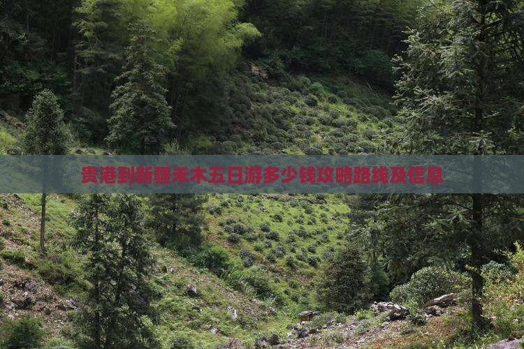 贵港到新疆禾木五日游