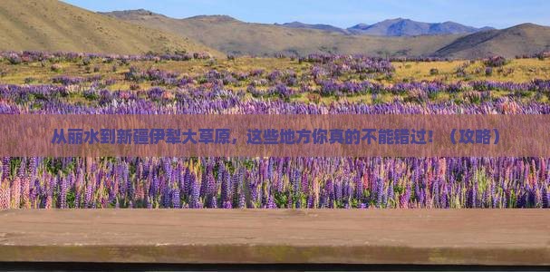 丽水到新疆伊犁大草原必去地