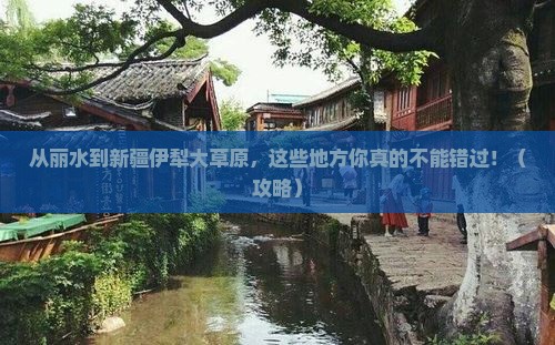 丽水到新疆伊犁大草原必去地