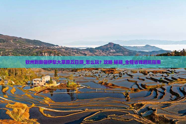 钦州到新疆伊犁大草原五日游