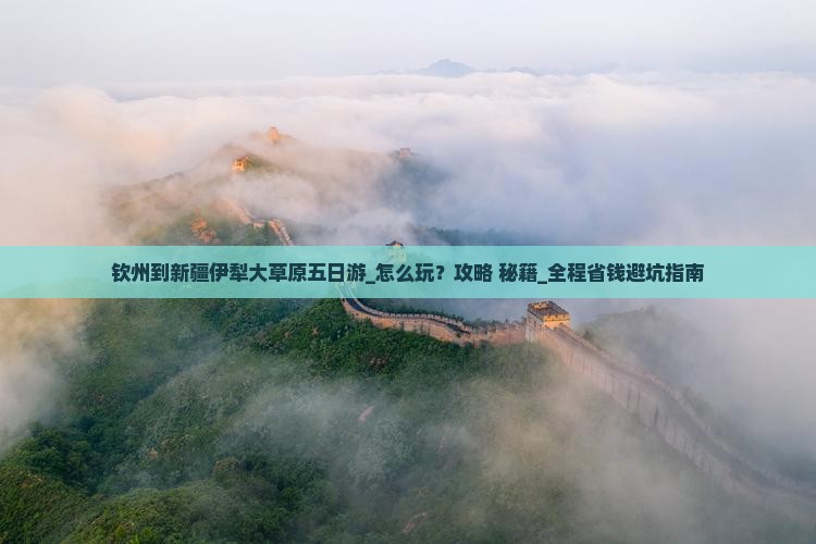 钦州到新疆伊犁大草原五日游