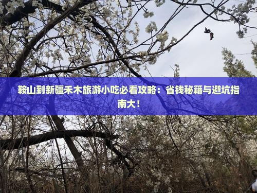 鞍山到新疆禾木旅游小吃