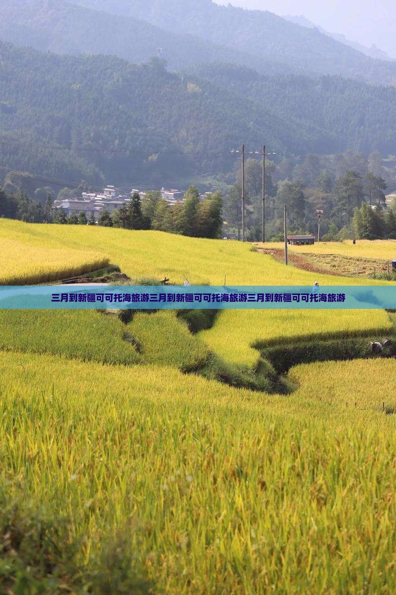 三月到新疆可可托海旅游