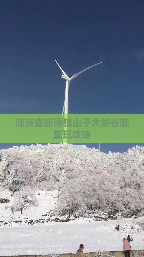 临沂去新疆独山子大峡谷哪里玩