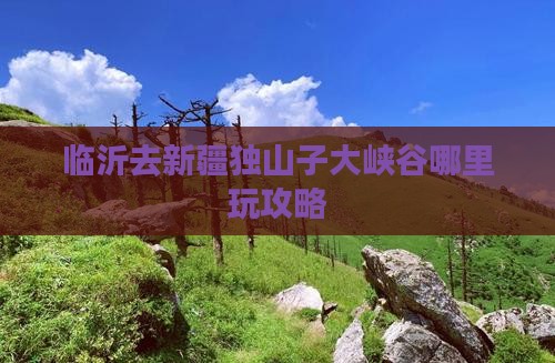 临沂去新疆独山子大峡谷哪里玩