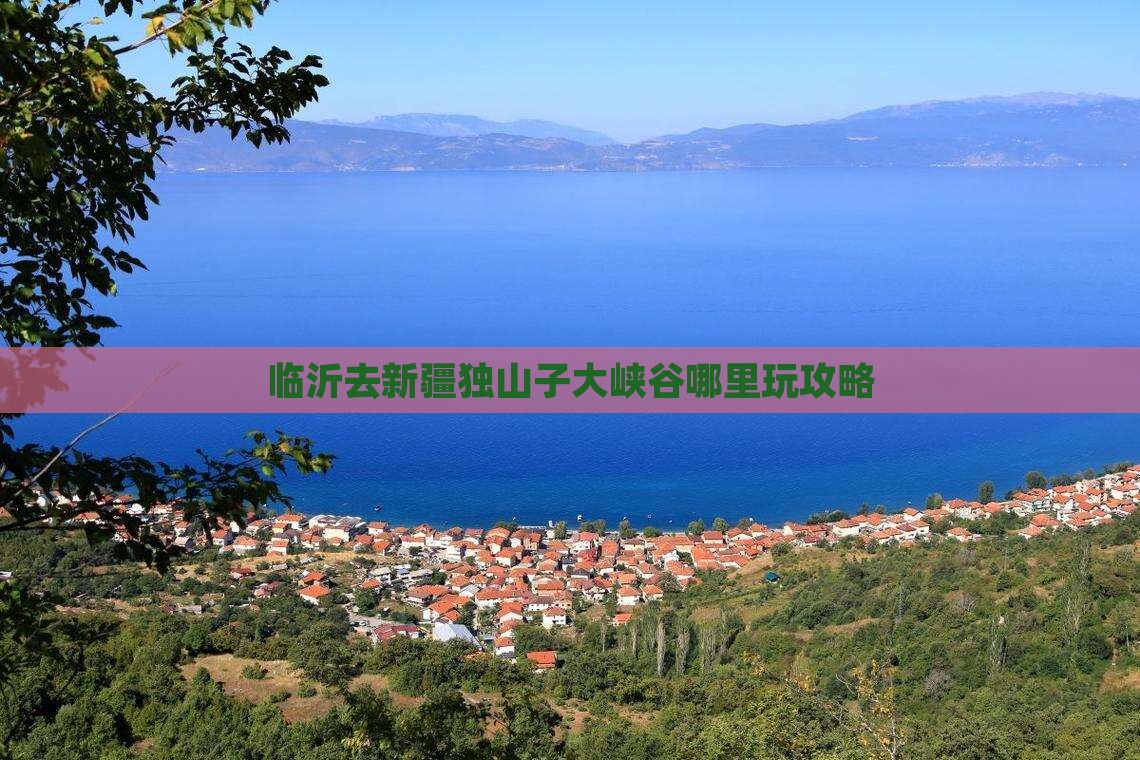 临沂去新疆独山子大峡谷哪里玩