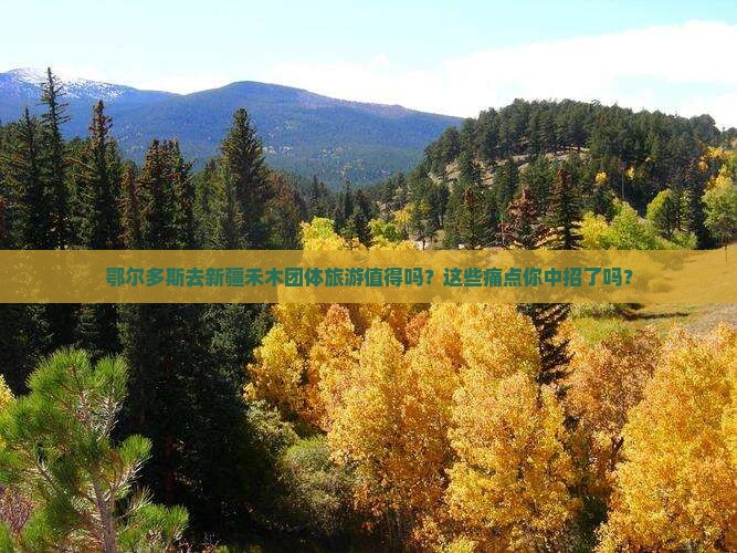 鄂尔多斯去新疆禾木团体旅游