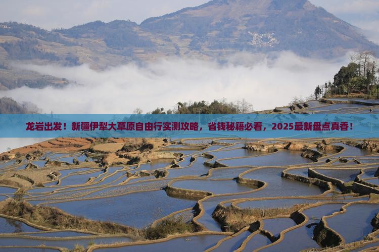 龙岩到新疆伊犁大草原自由团