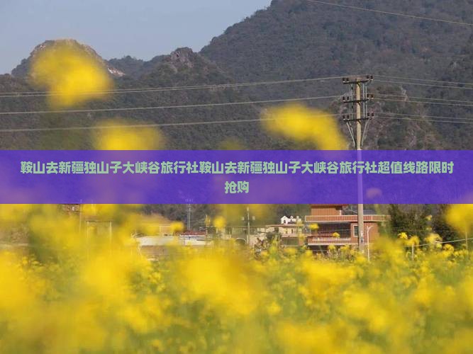 鞍山去新疆独山子大峡谷旅行社