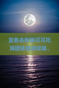宜春去新疆可可托海团体旅游