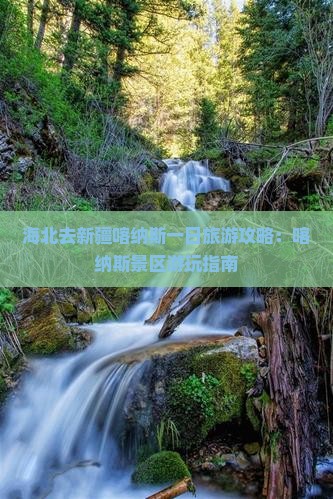 海北去新疆喀纳斯一日