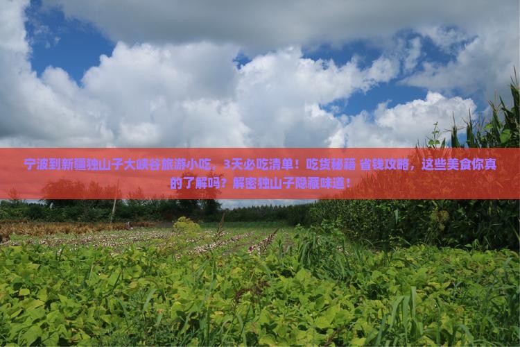 宁波到新疆独山子大峡谷旅游小吃