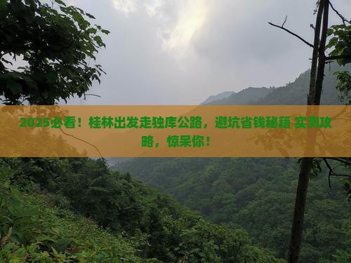 桂林到新疆独库公路团体旅游