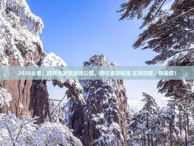 桂林到新疆独库公路团体旅游