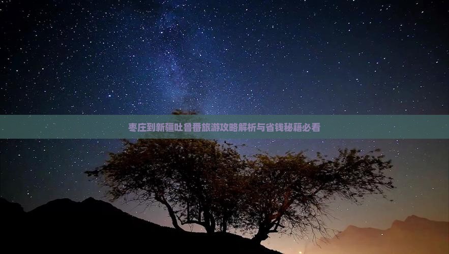 枣庄到新疆吐鲁番门票