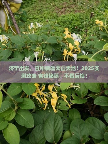 济宁去新疆天山天池个人游