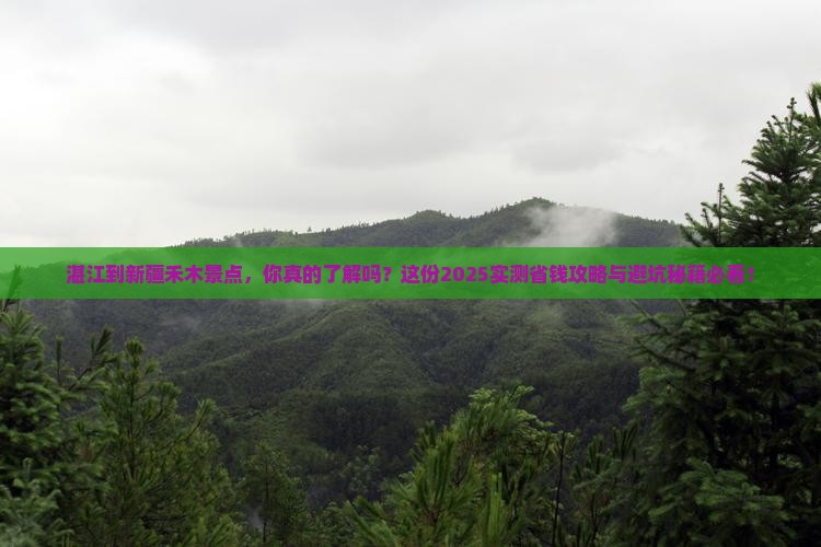 湛江到新疆禾木景点