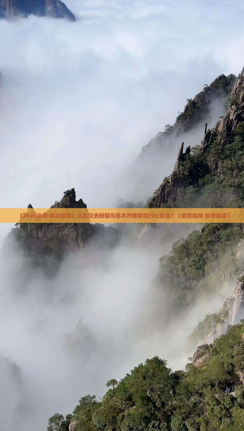 武汉到新疆乌鲁木齐旅行社