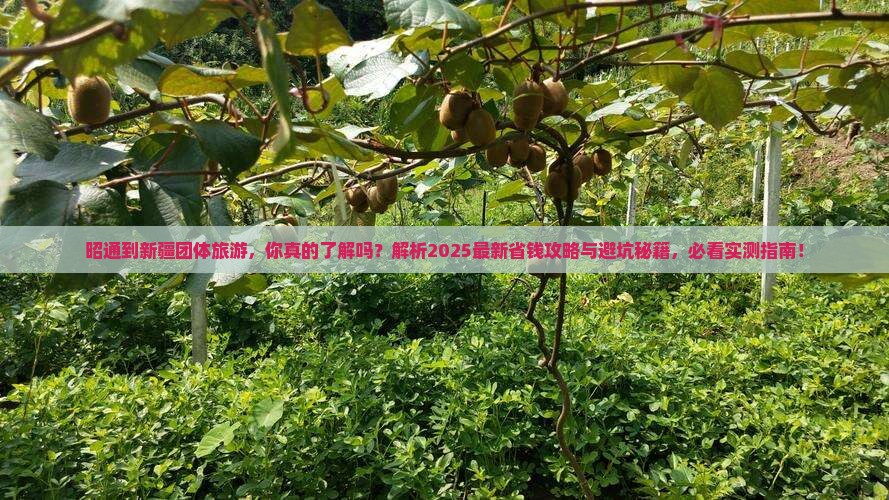 昭通到新疆团体旅游