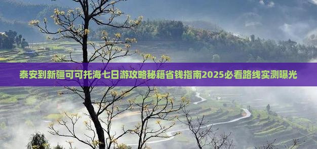 泰安到新疆可可托海七日游