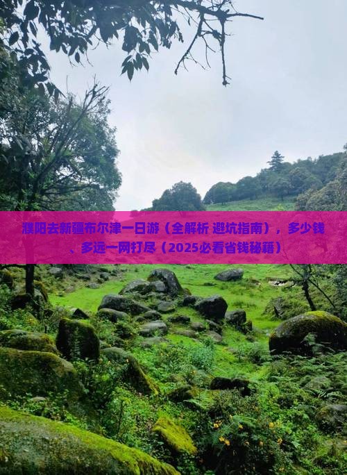 濮阳去新疆布尔津一日