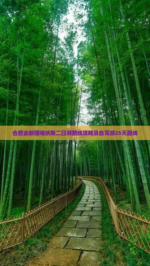 合肥去新疆喀纳斯二日游 合肥去新疆喀纳斯二日游