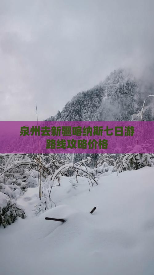 泉州去新疆喀纳斯七日游