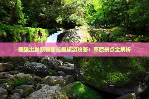 楚雄去新疆那拉提一日