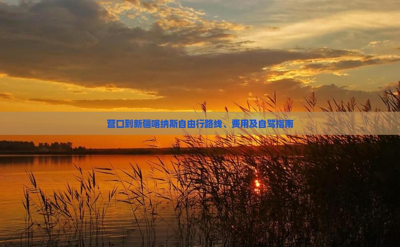 营口到新疆喀纳斯自由行