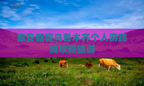 泰安去新疆乌鲁木齐个人游