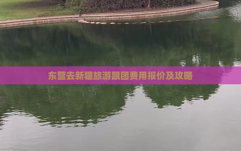 东营去新疆旅游