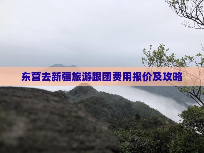 东营去新疆旅游