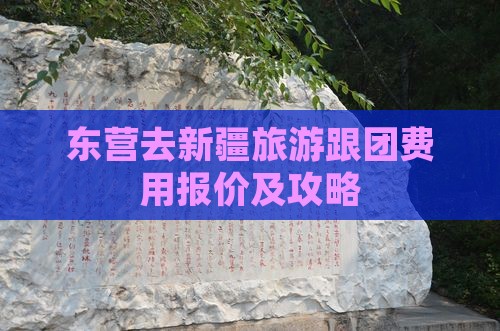 东营去新疆旅游