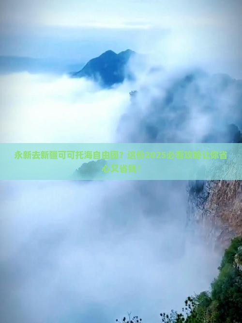 永新去新疆可可托海自由团