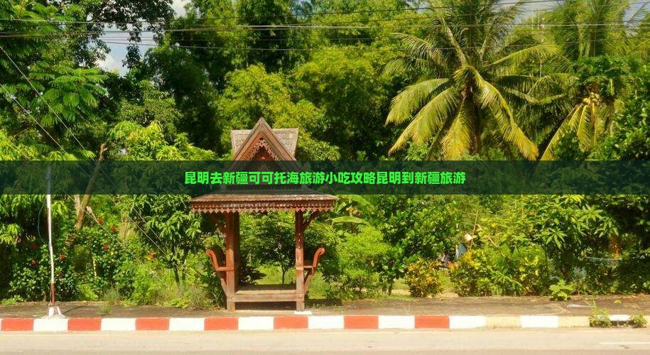 昆明去新疆可可托海旅游小吃