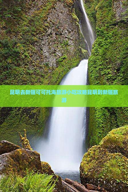 昆明去新疆可可托海旅游小吃