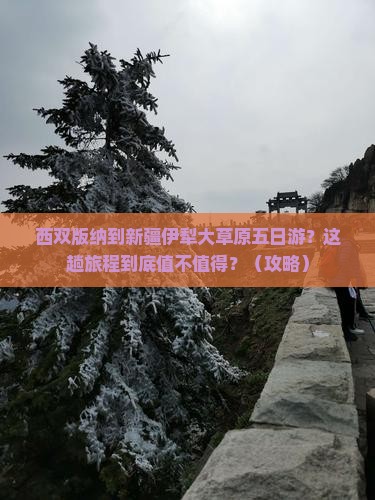西双版纳到新疆伊犁大草原五日游