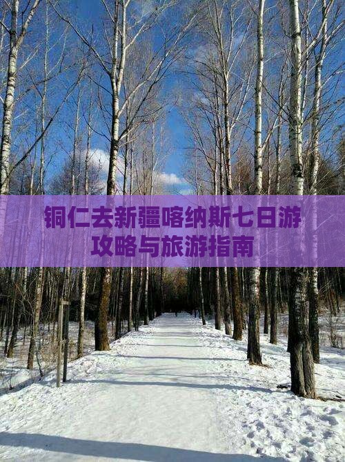铜仁去新疆喀纳斯七日游