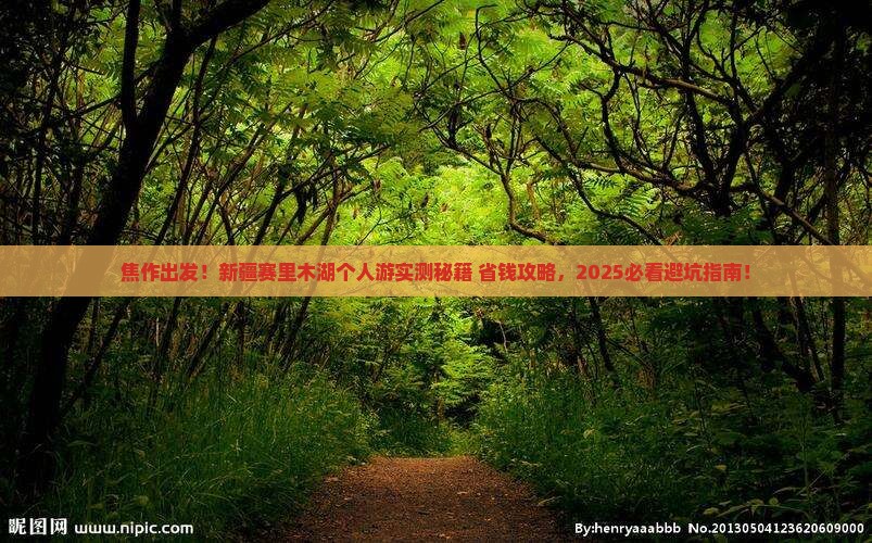焦作到新疆赛里木湖个人游