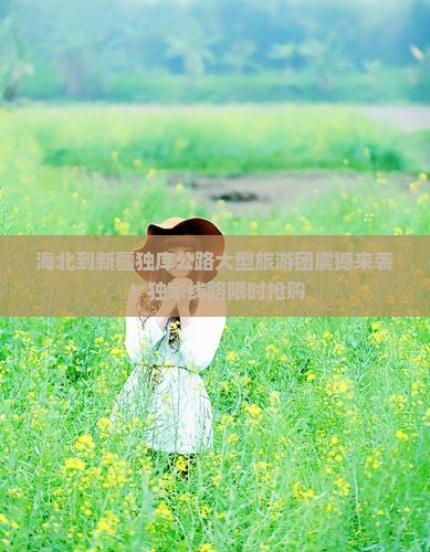 海北到新疆独库公路大型旅游团