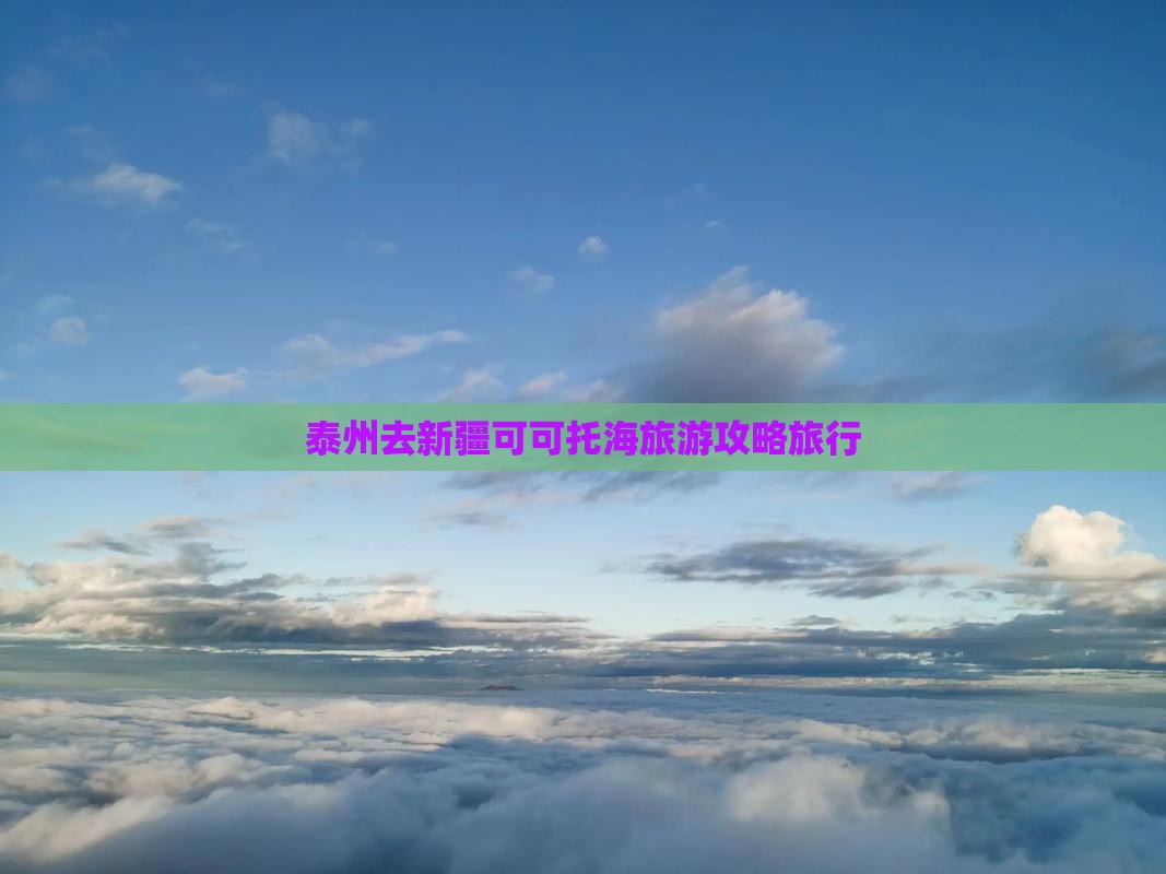 泰州去新疆可可托海旅行社