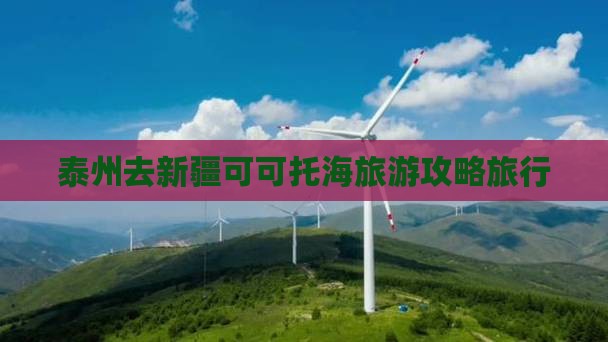 泰州去新疆可可托海旅行社